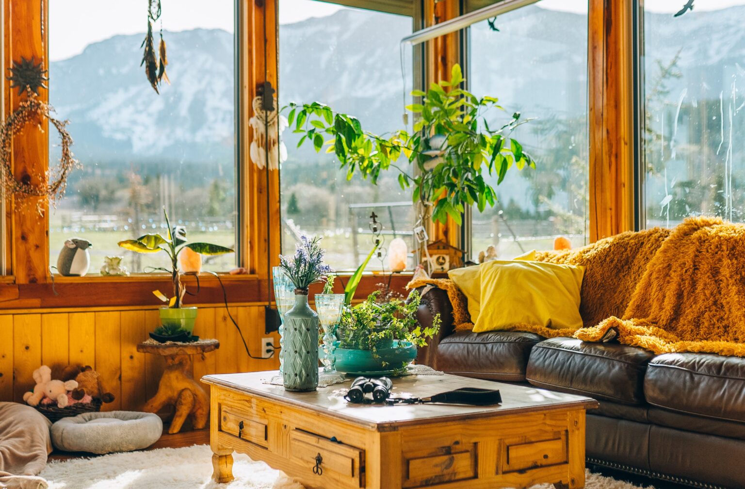 cosy-living-room-feat-img