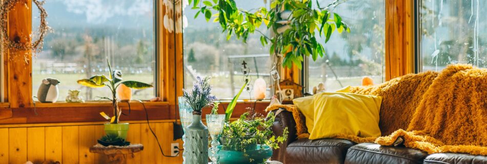 cosy-living-room-feat-img