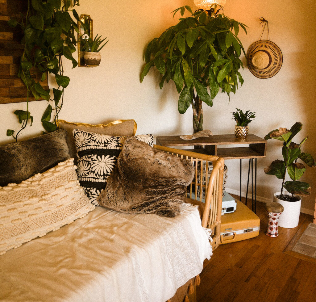 cosy-living-room-with-plants