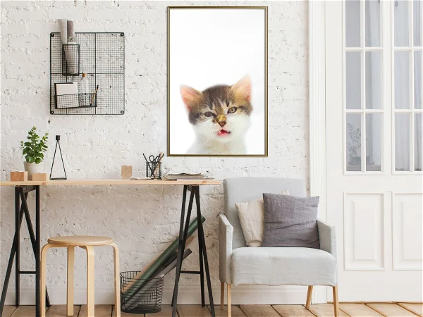 Poster Vexed Cat