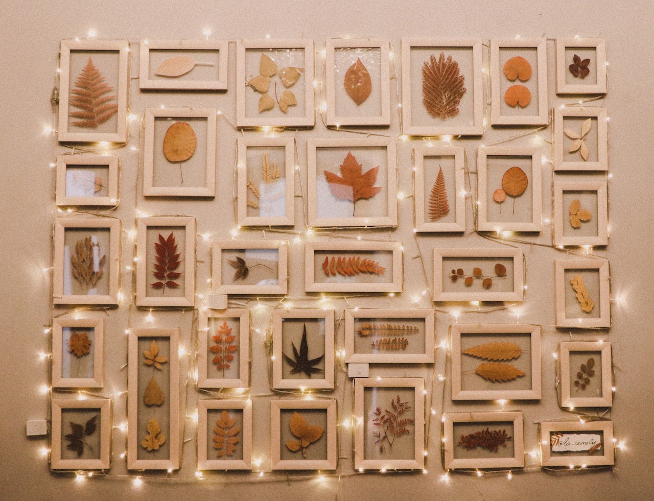 Decoracion Otoño Infantil LIVESTN DIY Juguetes De Fieltro, Kits De  Decoración Fieltro, Artes Y Manualidades De Otoño E Invierno, Kit De  Manualidades De Erizo Y Búho, Sets Creativos Y Materiales De Manualidades, image size:1280x981