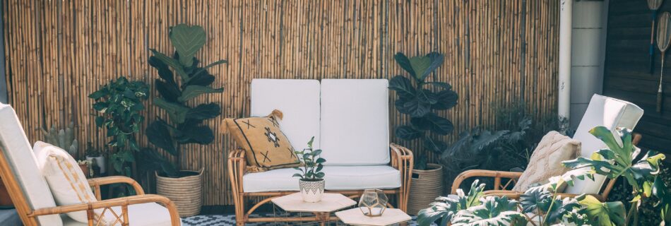 Ideas inspiradas en la naturaleza