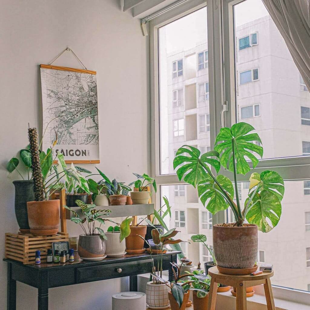 diseño de jardín de invierno en el rincón de tu salón