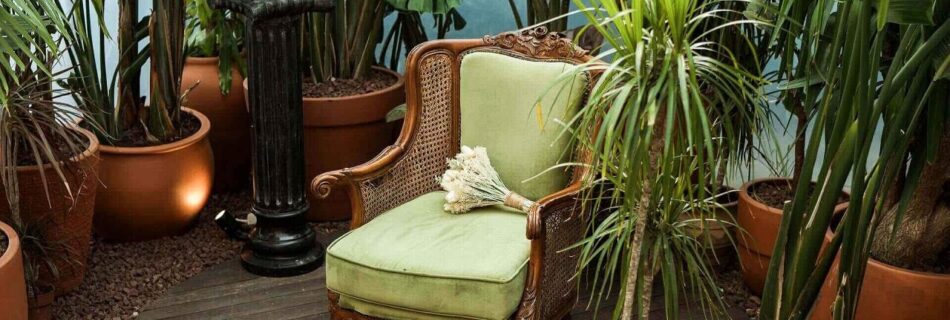 acogedor jardín de invierno feat image