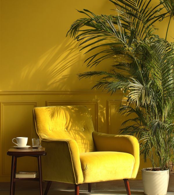 Modern living room with yellow wall and armchair, white side table, and large green indoor plant for vibrant home decor